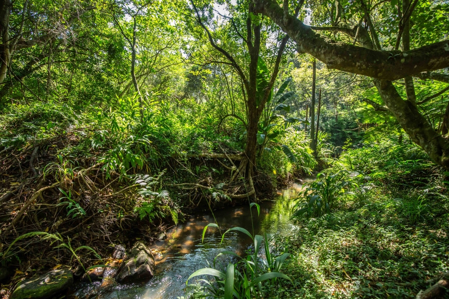 4 Bedroom Property for Sale in Everton KwaZulu-Natal