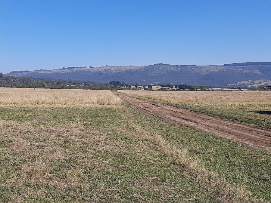 4 Bedroom Property for Sale in Albert Falls KwaZulu-Natal