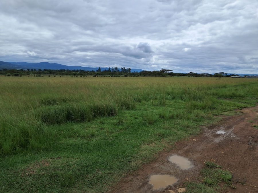 4 Bedroom Property for Sale in Albert Falls KwaZulu-Natal