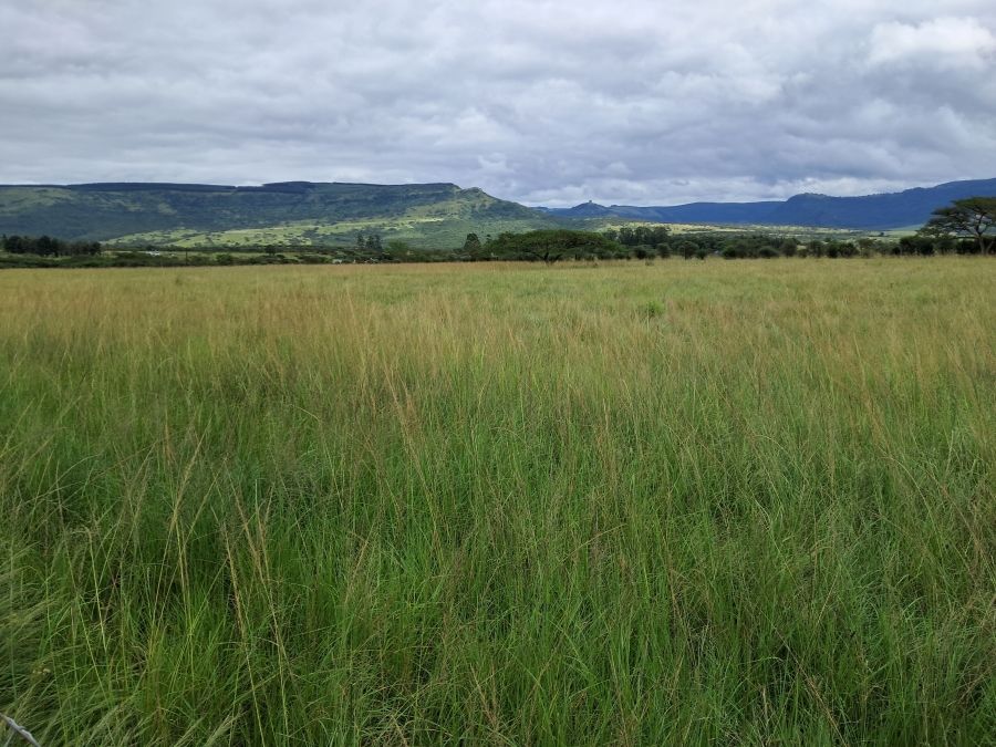 4 Bedroom Property for Sale in Albert Falls KwaZulu-Natal