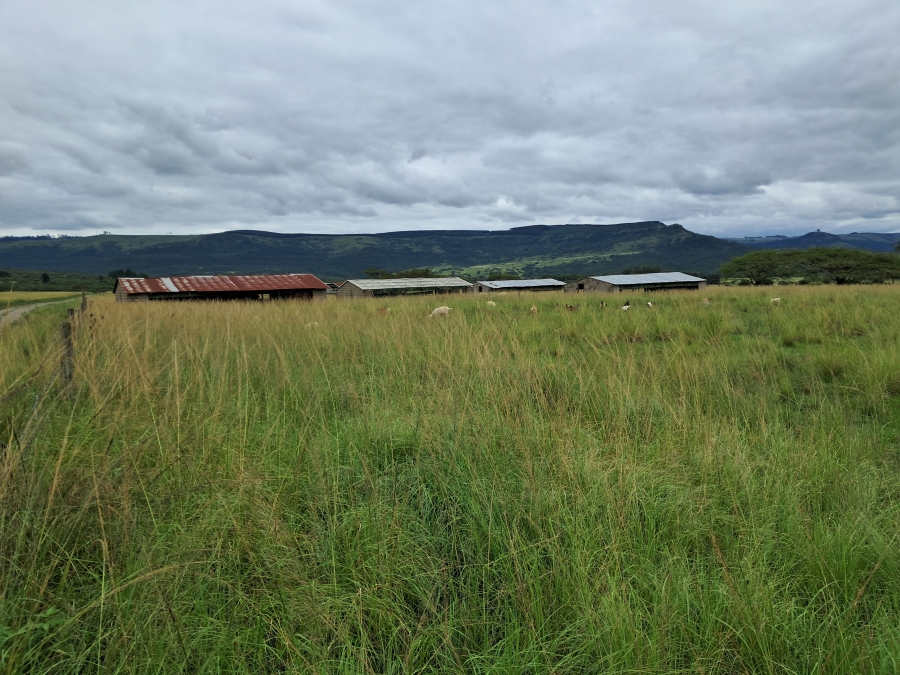 4 Bedroom Property for Sale in Albert Falls KwaZulu-Natal