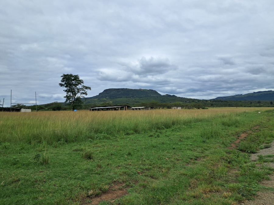 4 Bedroom Property for Sale in Albert Falls KwaZulu-Natal