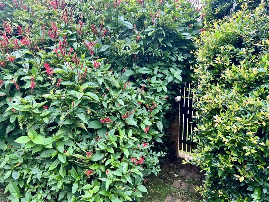 3 Bedroom Property for Sale in Montrose KwaZulu-Natal