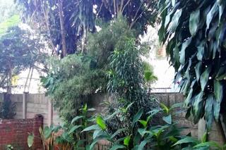 3 Bedroom Property for Sale in Musgrave KwaZulu-Natal