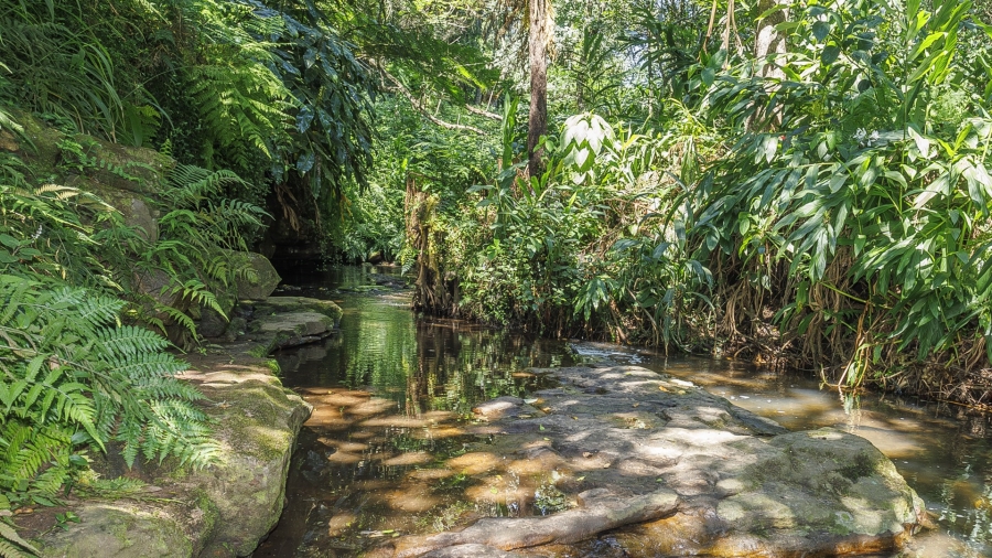 5 Bedroom Property for Sale in Everton KwaZulu-Natal