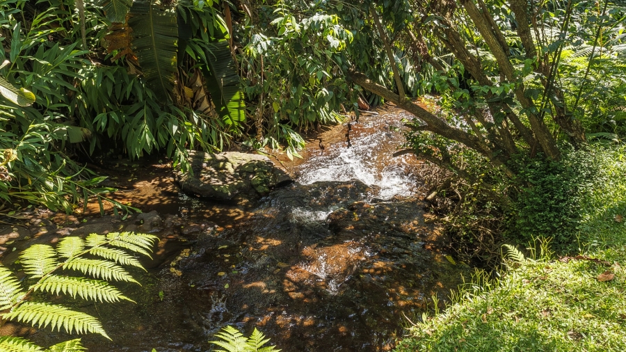 5 Bedroom Property for Sale in Everton KwaZulu-Natal