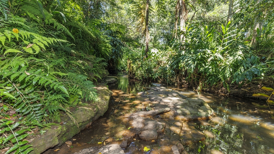 5 Bedroom Property for Sale in Everton KwaZulu-Natal