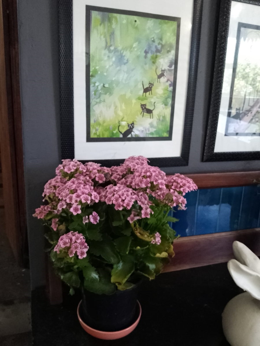 5 Bedroom Property for Sale in Mandeni KwaZulu-Natal