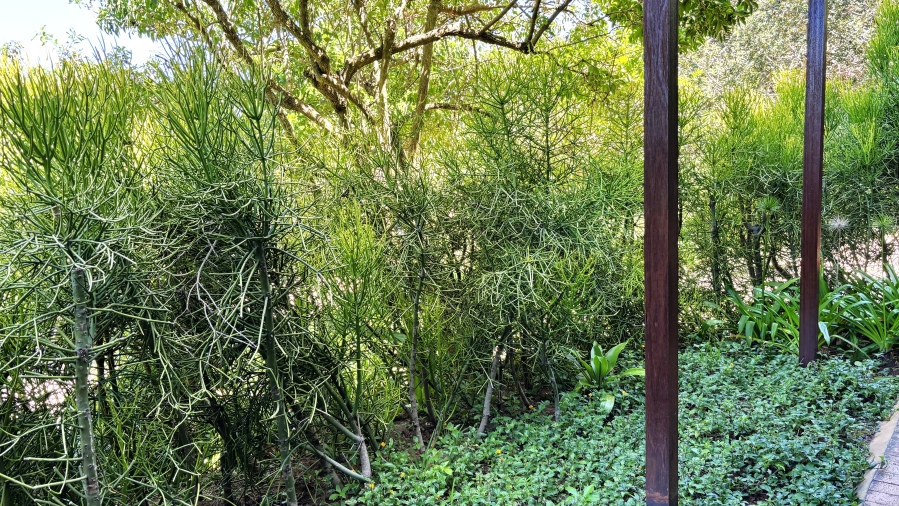 6 Bedroom Property for Sale in Blythedale KwaZulu-Natal