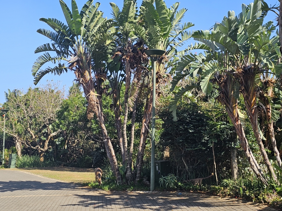 To Let 3 Bedroom Property for Rent in Zimbali Coastal Resort Estate KwaZulu-Natal