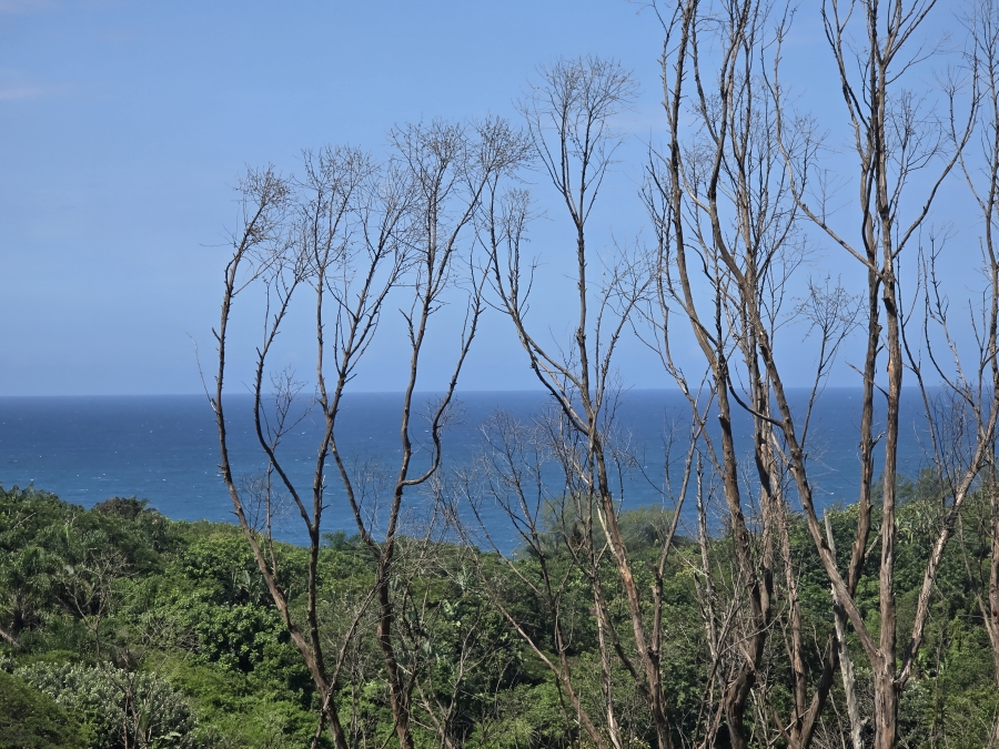 4 Bedroom Property for Sale in Salt Rock KwaZulu-Natal