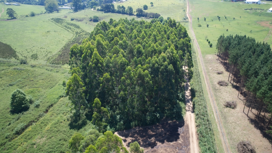 4 Bedroom Property for Sale in Dargle KwaZulu-Natal