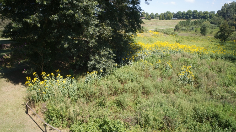 4 Bedroom Property for Sale in Dargle KwaZulu-Natal