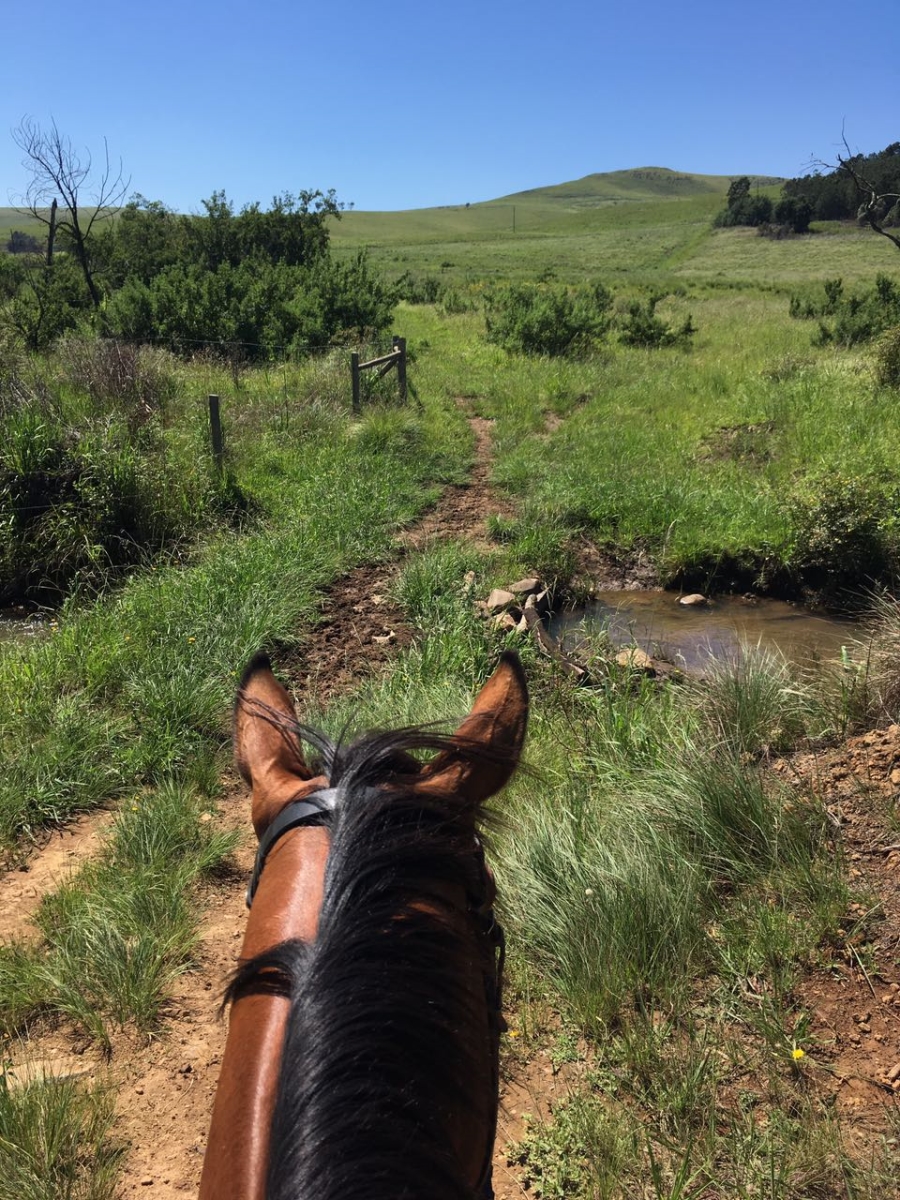 3 Bedroom Property for Sale in Dargle KwaZulu-Natal