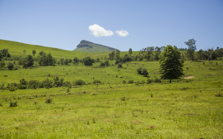 3 Bedroom Property for Sale in Dargle KwaZulu-Natal