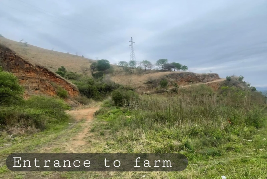 0 Bedroom Property for Sale in Richmond KwaZulu-Natal