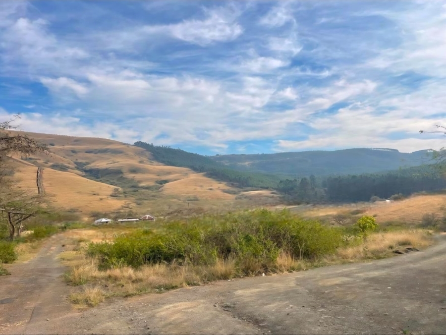 0 Bedroom Property for Sale in Richmond KwaZulu-Natal