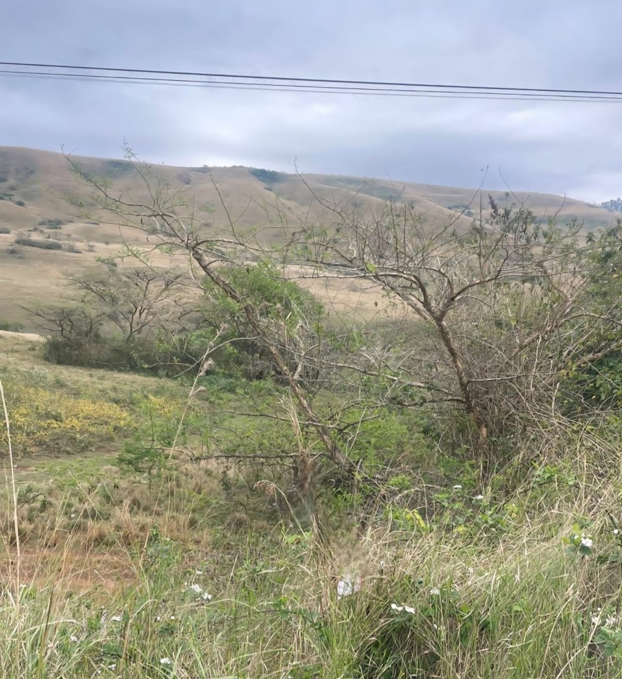 0 Bedroom Property for Sale in Richmond KwaZulu-Natal