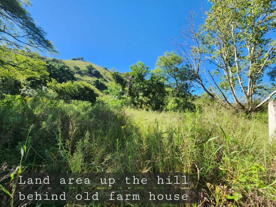 0 Bedroom Property for Sale in Richmond KwaZulu-Natal