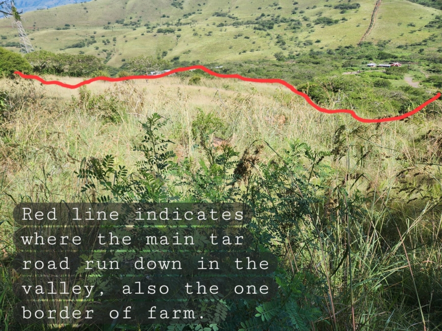 0 Bedroom Property for Sale in Richmond KwaZulu-Natal