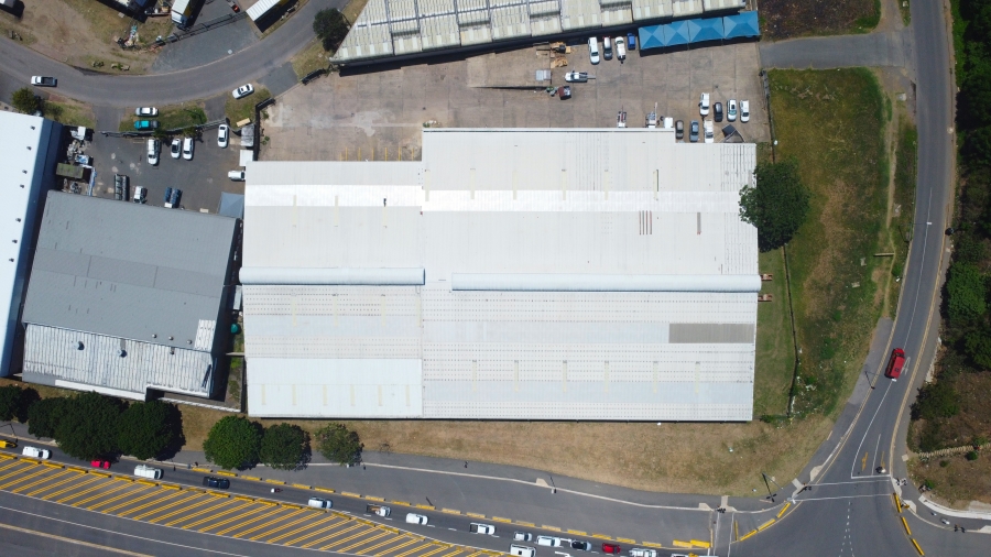 To Let commercial Property for Rent in Springfield KwaZulu-Natal