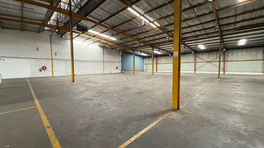 To Let commercial Property for Rent in Springfield KwaZulu-Natal