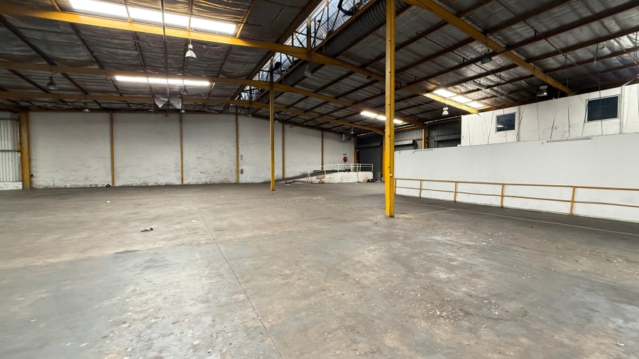 To Let commercial Property for Rent in Springfield KwaZulu-Natal