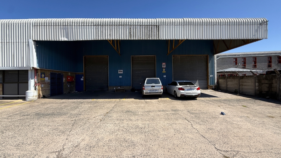 To Let commercial Property for Rent in Springfield KwaZulu-Natal