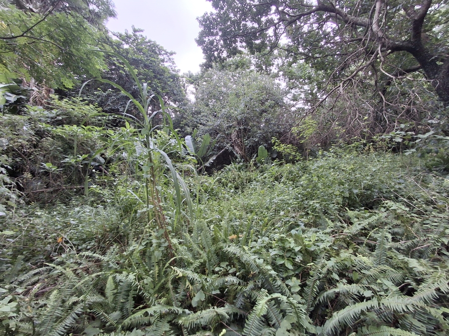 0 Bedroom Property for Sale in Ramsgate KwaZulu-Natal