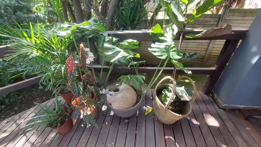 3 Bedroom Property for Sale in Hayfields KwaZulu-Natal