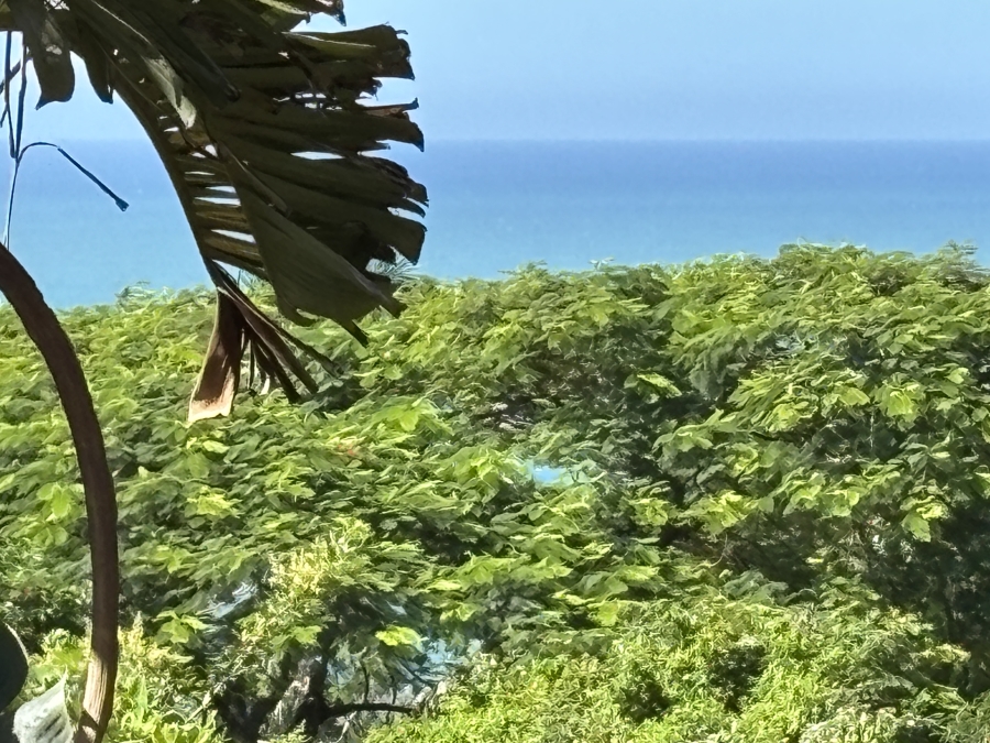 5 Bedroom Property for Sale in Zinkwazi Beach KwaZulu-Natal