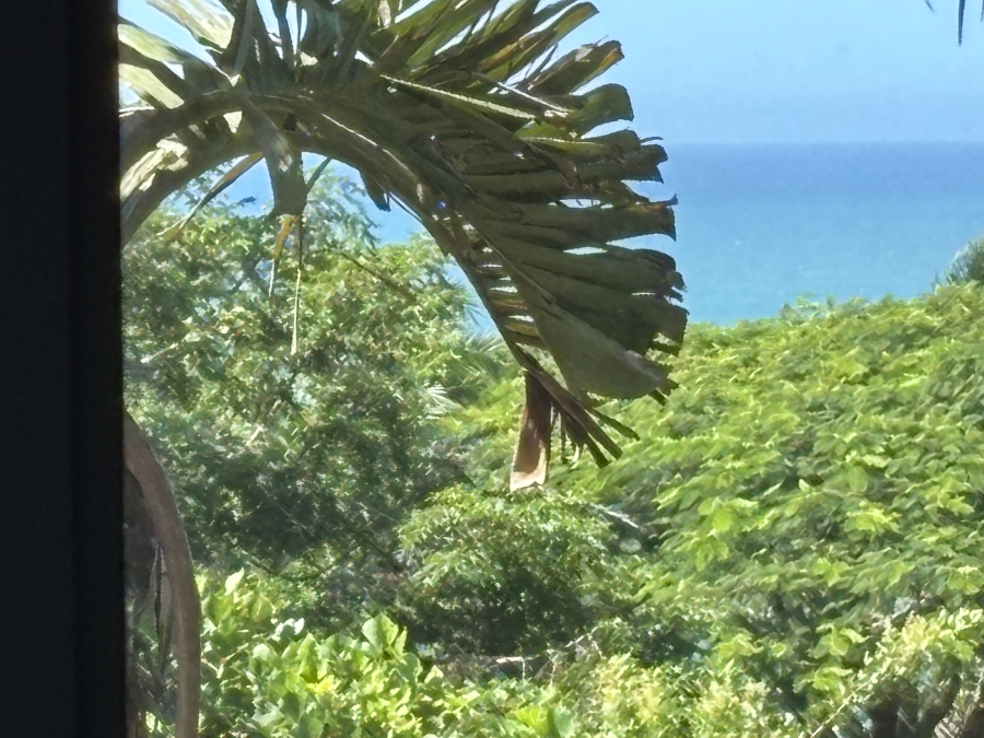 5 Bedroom Property for Sale in Zinkwazi Beach KwaZulu-Natal