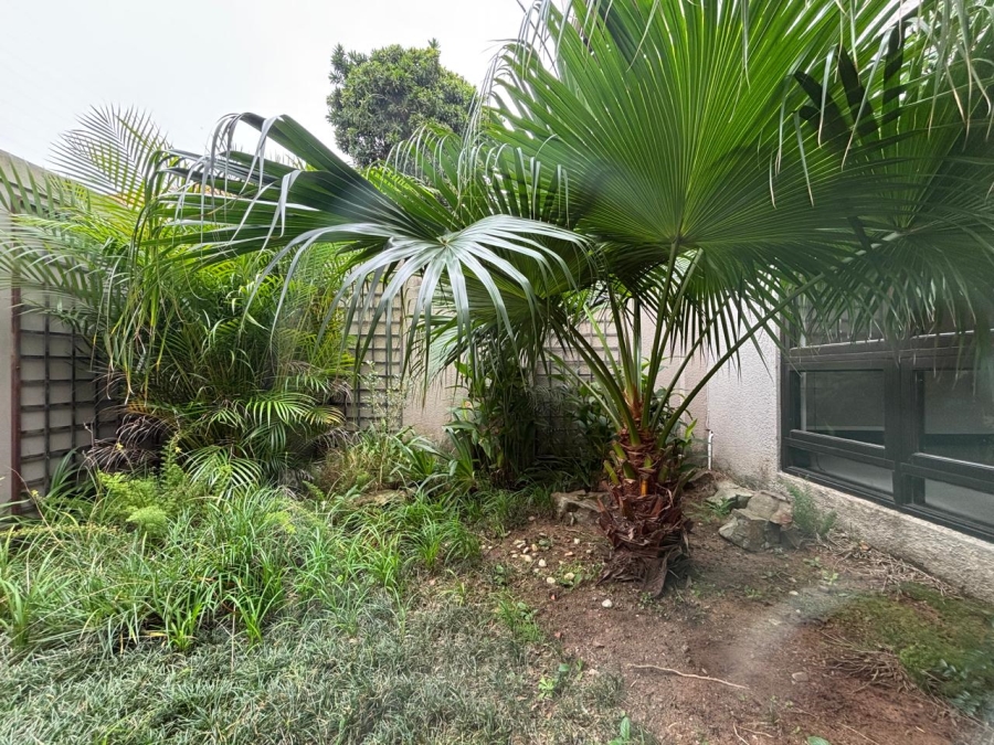 3 Bedroom Property for Sale in Musgrave KwaZulu-Natal