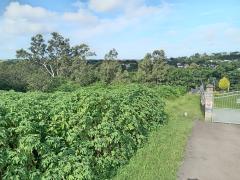 0 Bedroom Property for Sale in Escombe KwaZulu-Natal