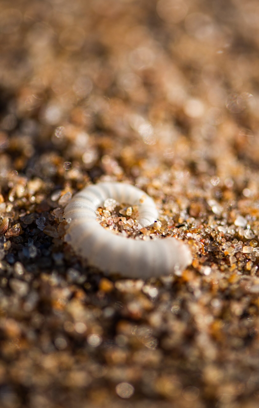 0 Bedroom Property for Sale in Seaton Estate KwaZulu-Natal