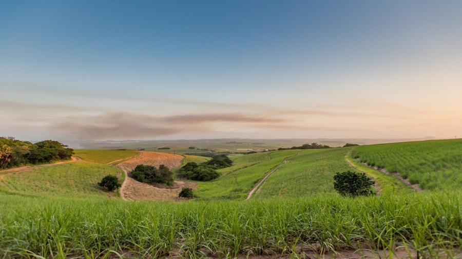 5 Bedroom Property for Sale in Fairview Estates KwaZulu-Natal