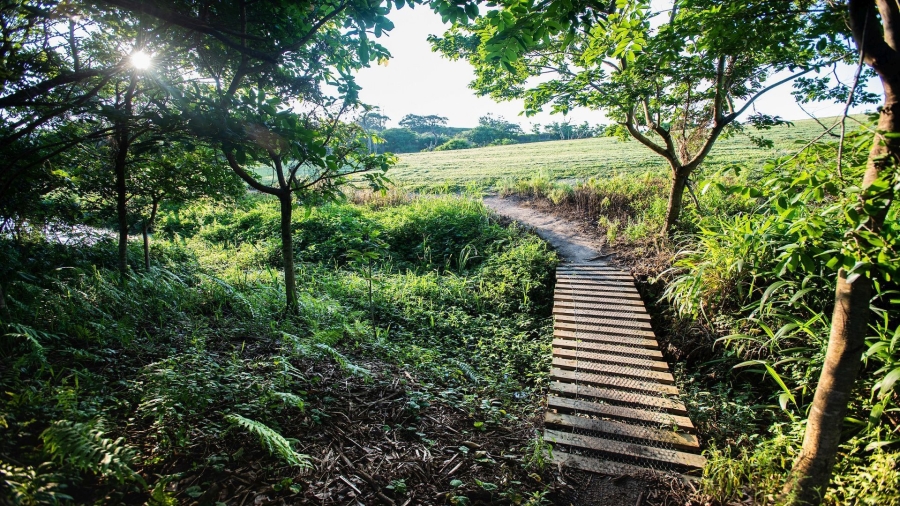 5 Bedroom Property for Sale in Fairview Estates KwaZulu-Natal