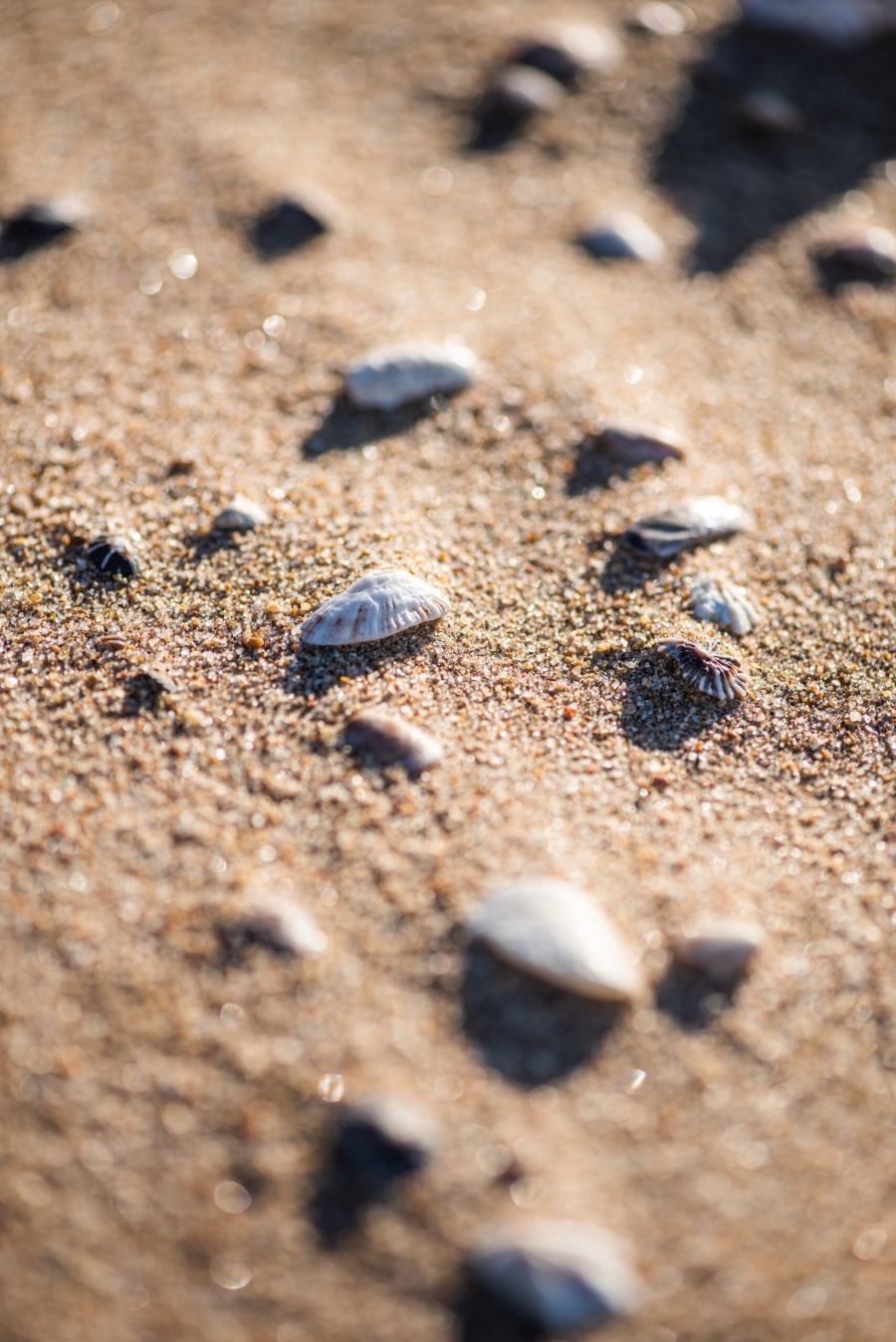 0 Bedroom Property for Sale in Seaton Estate KwaZulu-Natal