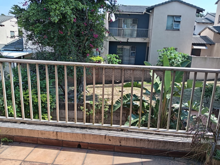 To Let 3 Bedroom Property for Rent in Arboretum KwaZulu-Natal