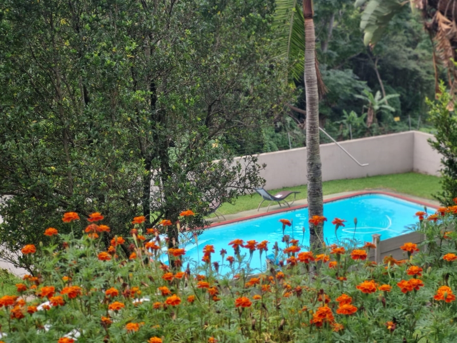 3 Bedroom Property for Sale in Escombe KwaZulu-Natal