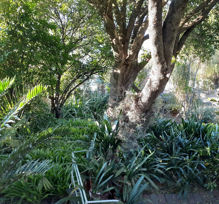 3 Bedroom Property for Sale in Sunnyridge KwaZulu-Natal