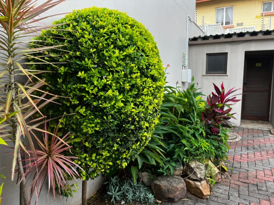 3 Bedroom Property for Sale in Glenwood KwaZulu-Natal