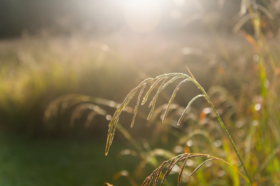 0 Bedroom Property for Sale in Nottingham Road KwaZulu-Natal