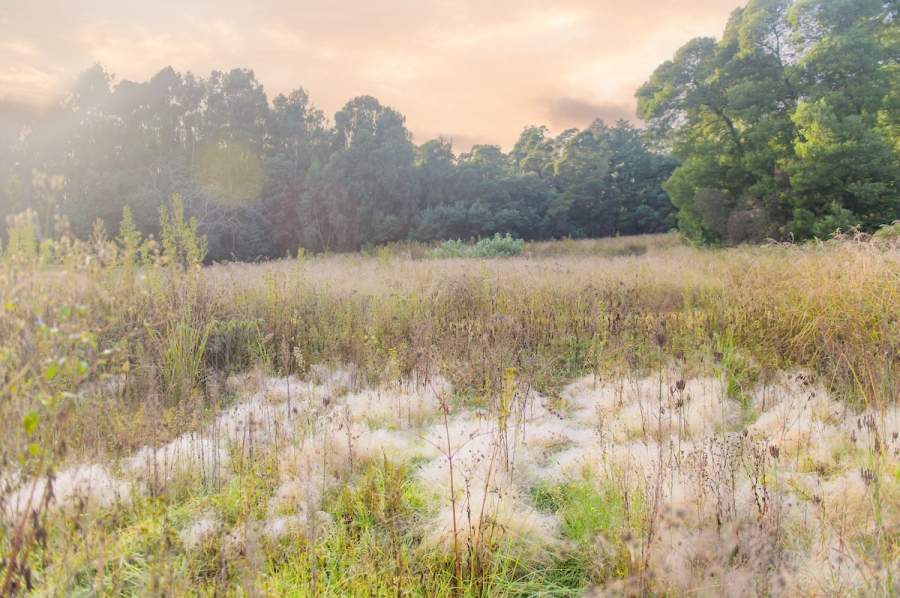 0 Bedroom Property for Sale in Nottingham Road KwaZulu-Natal