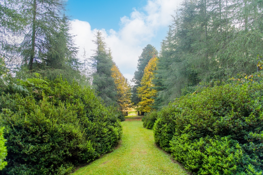 0 Bedroom Property for Sale in Nottingham Road KwaZulu-Natal