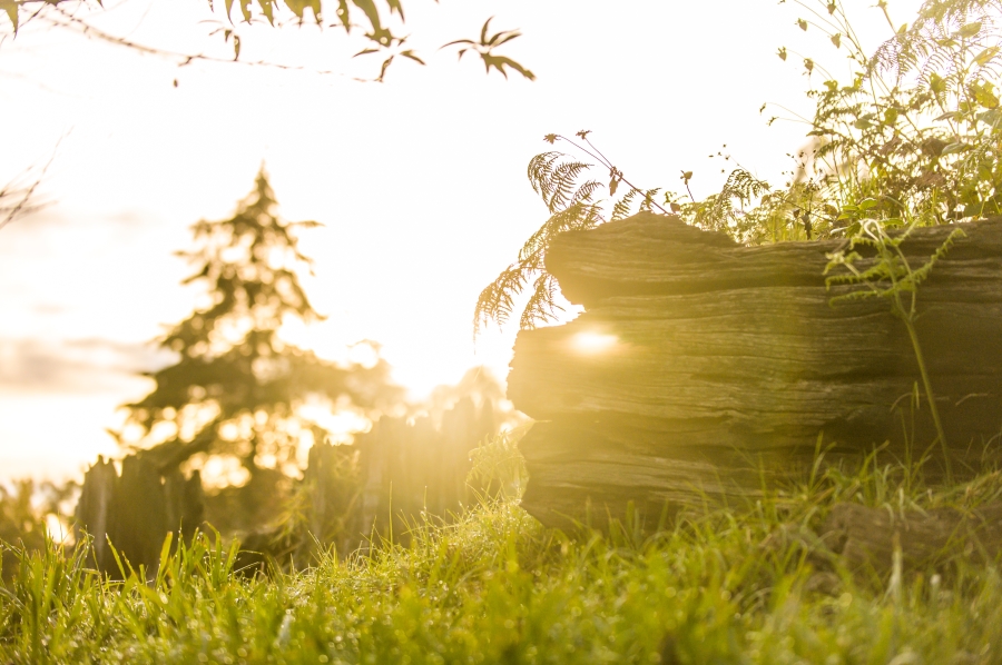 0 Bedroom Property for Sale in Nottingham Road KwaZulu-Natal