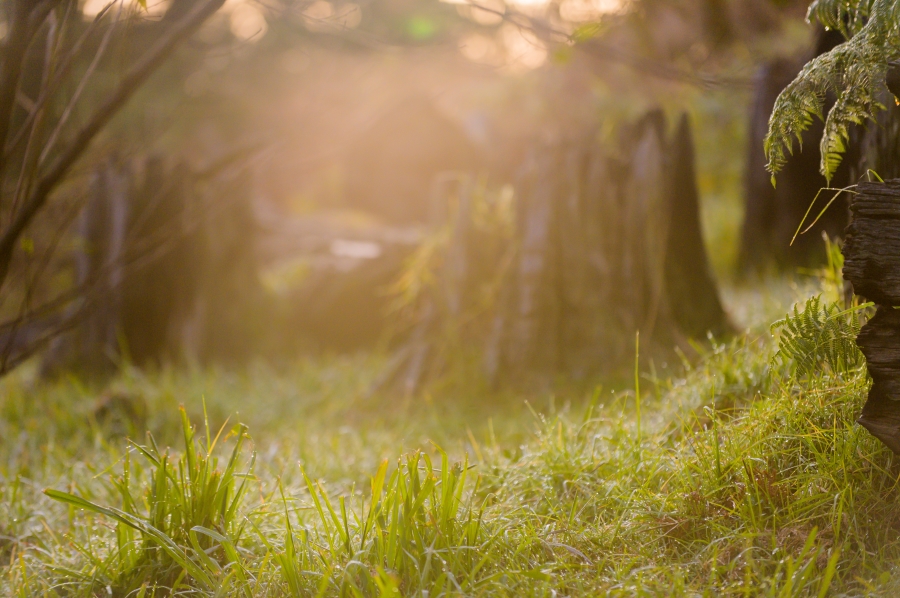 0 Bedroom Property for Sale in Nottingham Road KwaZulu-Natal