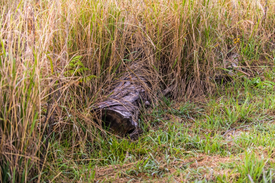 0 Bedroom Property for Sale in Nottingham Road KwaZulu-Natal