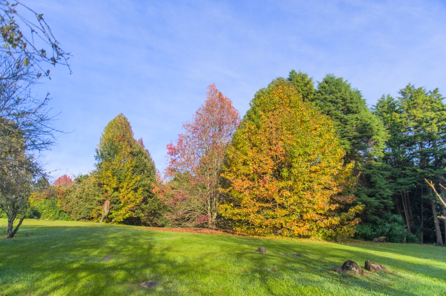 0 Bedroom Property for Sale in Nottingham Road KwaZulu-Natal