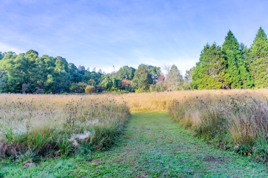 0 Bedroom Property for Sale in Nottingham Road KwaZulu-Natal